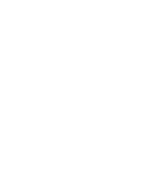 Vector